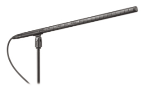 BP4071L LINE + GRADIENT MICROPHONE, 21" LONG